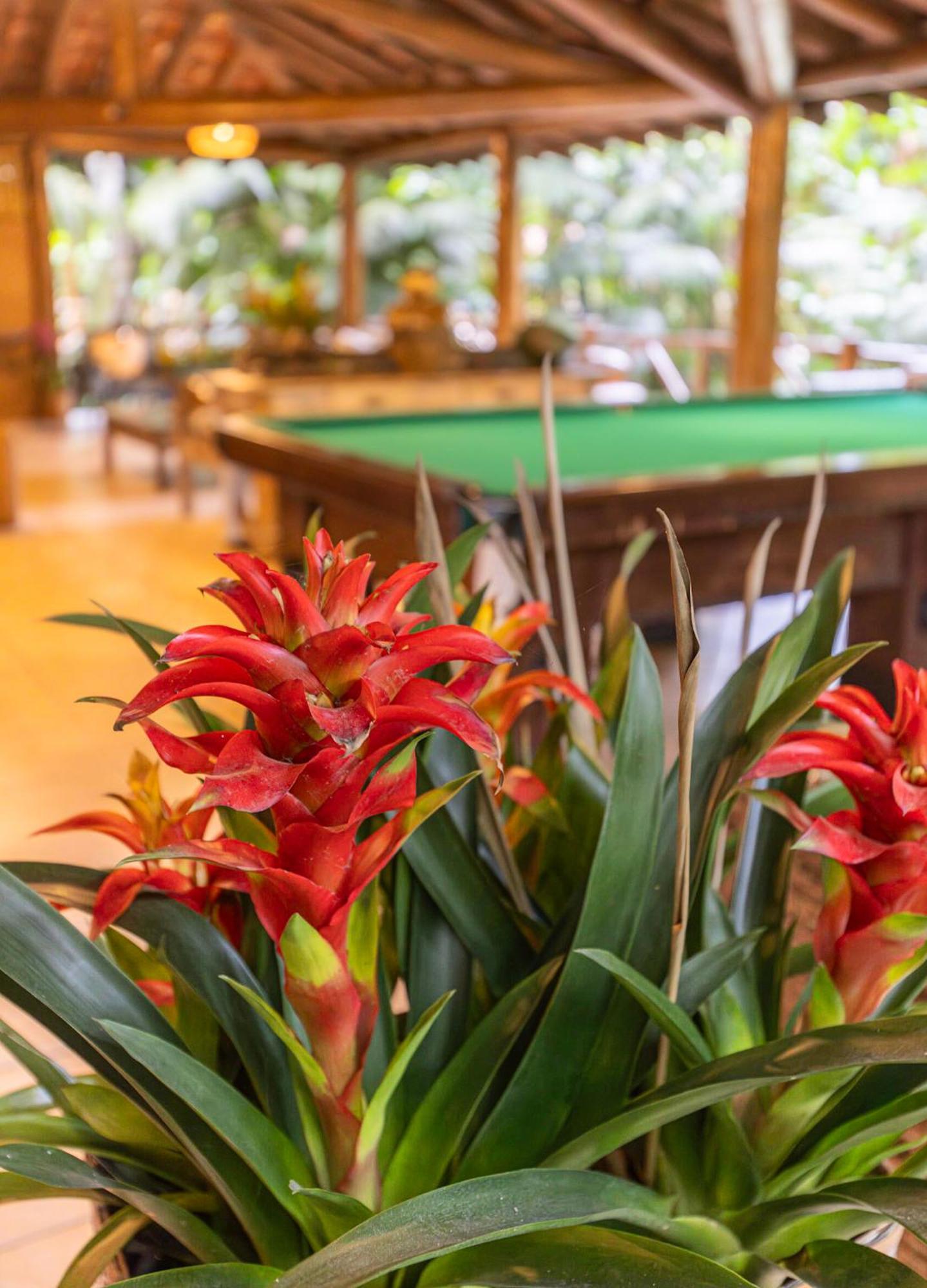 Itamambuca Eco Resort Убатуба Экстерьер фото